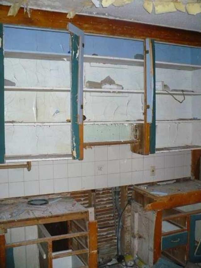 High Point Equestrian photo 3