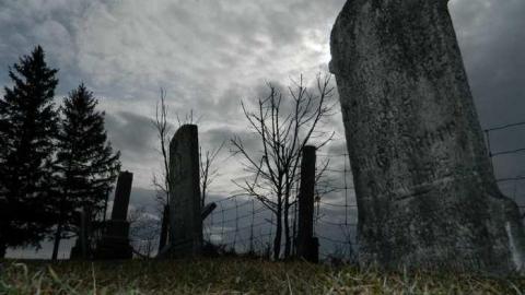 Lutheran Pioneer Cemetery photo 2