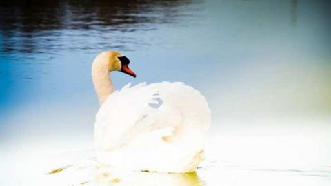 Journey To Bake-Lite - Belleville, Ontario
