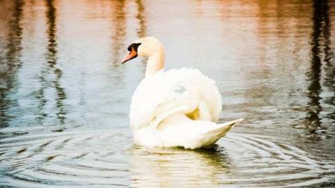 Wasteland - Journey-To-BakeLite49.jpg