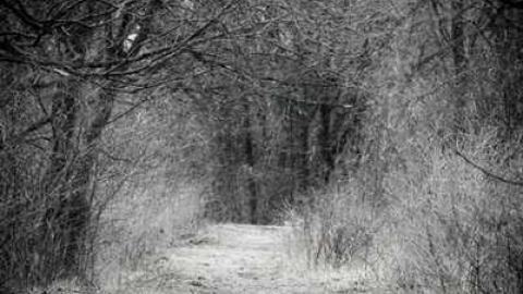 Wasteland - Journey-To-BakeLite50.jpg