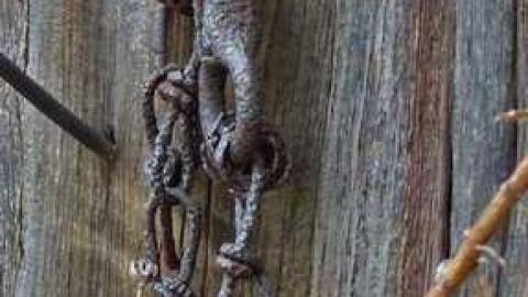 Old S. Pelham Farm photo 3