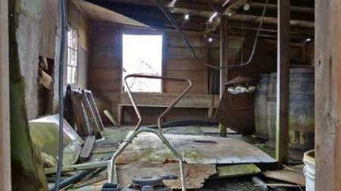 Abandoned? Yes it is - P1010697e.jpg