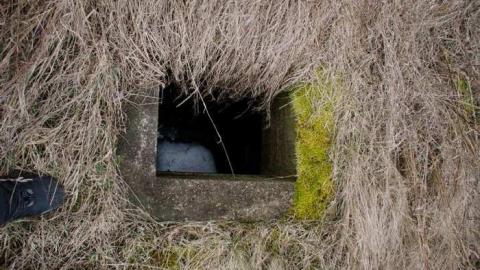 April 15 2013 - 2013 April_2644D16.jpg