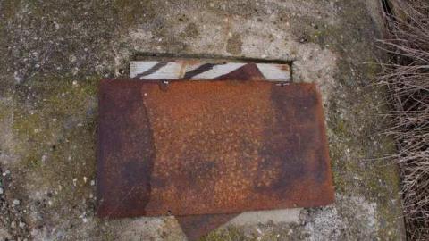 April 15 2013 - 2013 April_2705D16.jpg