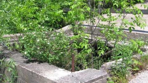 Gallery - Sauble-Falls-(ghost-town)18.jpg