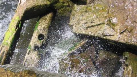 Sauble Falls (ghost town) cover photo