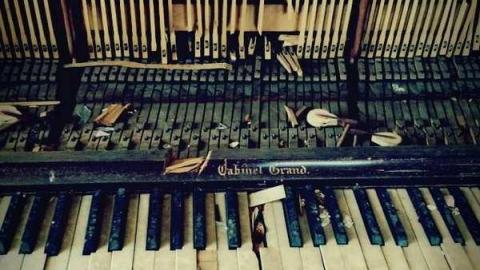 Beautiful. - Catherines-Farm8.jpg