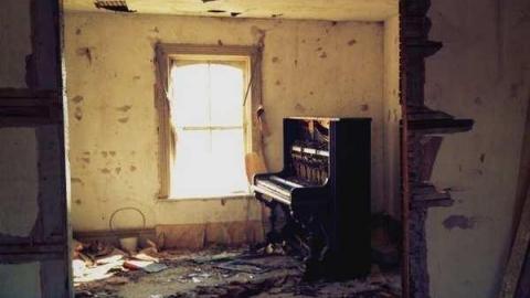 Beautiful. - Catherines-Farm11.jpg