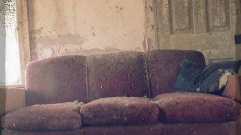 Beautiful. - Catherines-Farm5.jpg