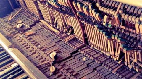 Beautiful. - Catherines-Farm6.jpg