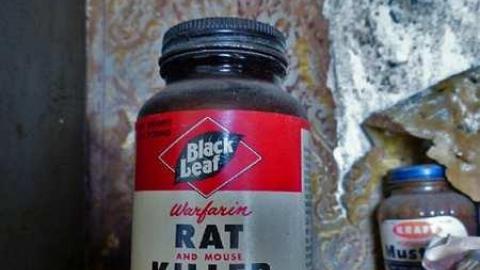 Photo from House April 18,2013