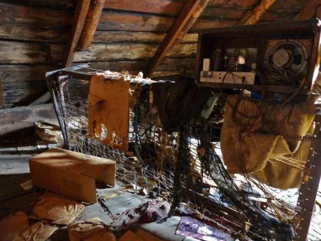 Animal House photo 4