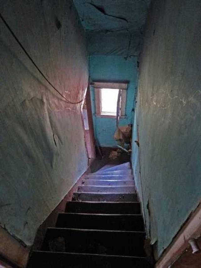 Animal House photo 5