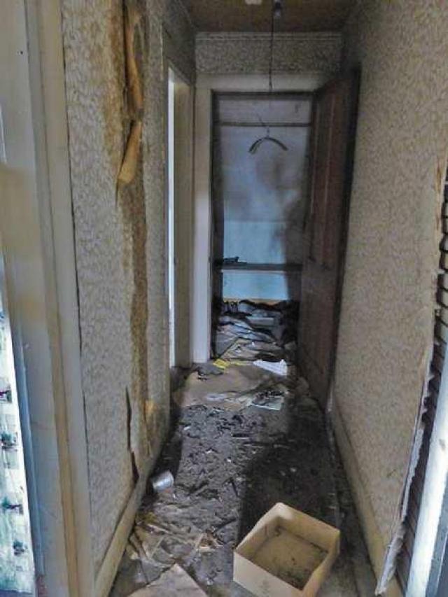 Animal House photo 3