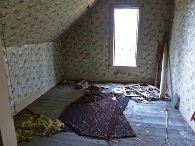 Animal House photo 2