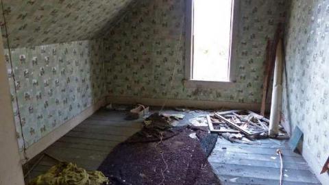 House April 18,2013 - Animal-House10.jpg