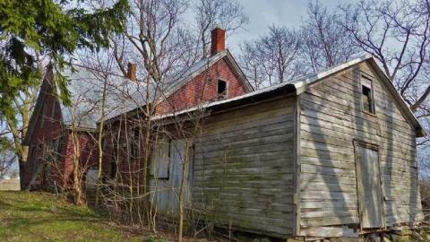 House April 18,2013 - Animal-House21.jpg