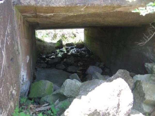 Sauble Falls (ghost town) photo 4