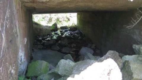 Sauble Falls (ghost town) photo 4