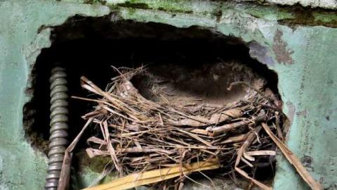 dot dot dot - 11 - IMG_0645O.jpg