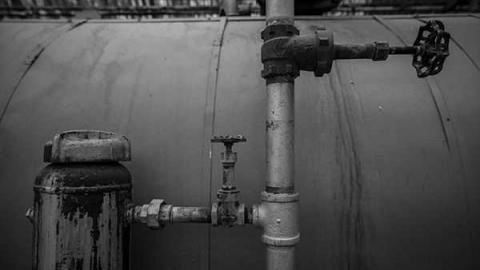 Greentastic - Reesor-Rd-Greenhouse61.jpg