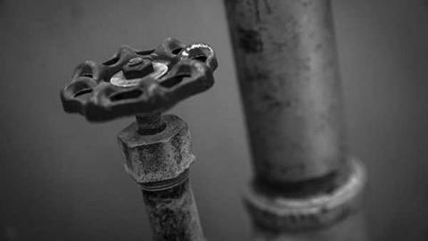 Greentastic - Reesor-Rd-Greenhouse9.jpg