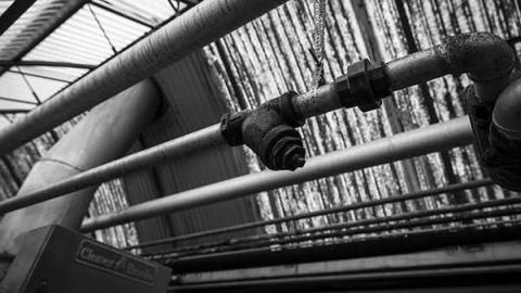 Greentastic - Reesor-Rd-Greenhouse10.jpg