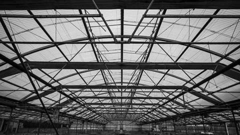 Greentastic - Reesor-Rd-Greenhouse3.jpg