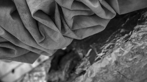 Greentastic - Reesor-Rd-Greenhouse53.jpg