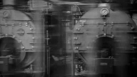 Greentastic - Reesor-Rd-Greenhouse14.jpg