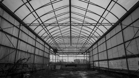 Greentastic - Reesor-Rd-Greenhouse4.jpg