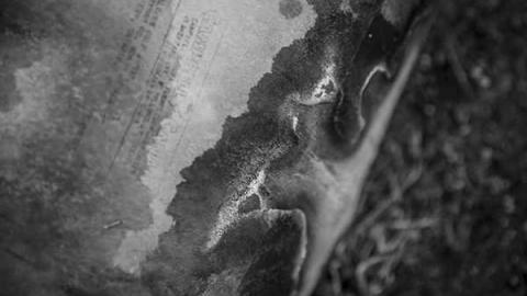 Greentastic - Reesor-Rd-Greenhouse55.jpg