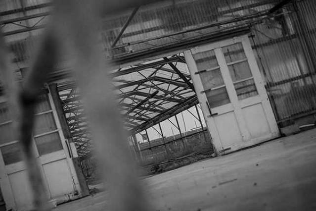 Reesor Rd Greenhouse photo 4