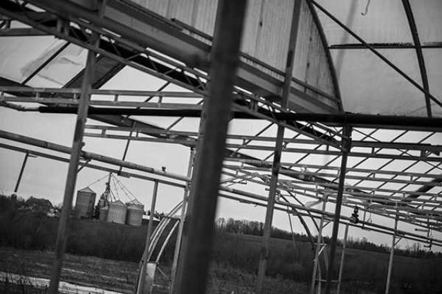 Reesor Rd Greenhouse photo 3