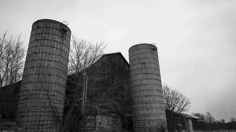 Barn Rhythm 0 - Vine-House5.jpg