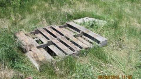 Gallery - Picture 071.jpg