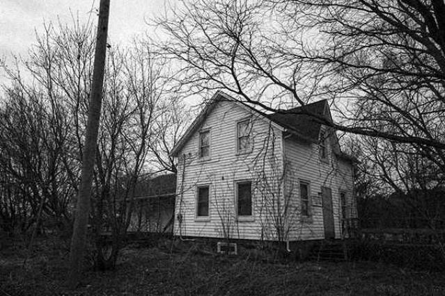 Gallery #1 - Greenhouse-5.jpg