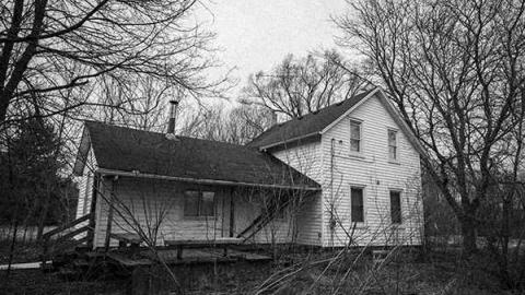 Gallery #1 - Greenhouse-6.jpg