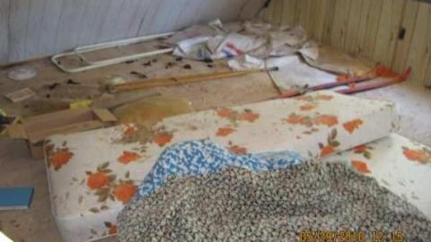 Gallery - Picture 091.jpg