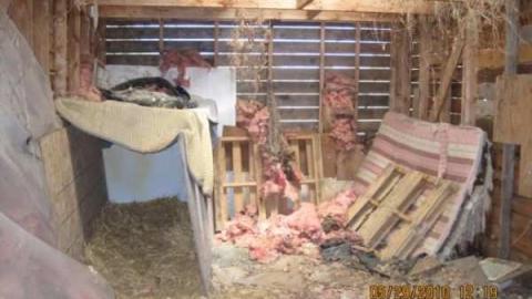 Gallery - Picture 099.jpg