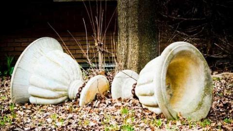 For what it's worth - IMG_6169.jpg