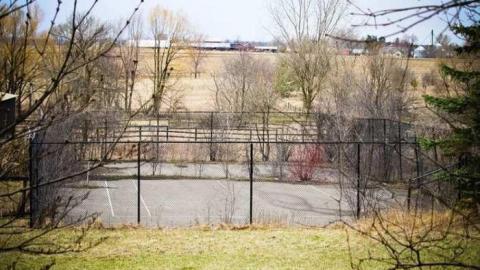 For what it's worth - IMG_6172.jpg