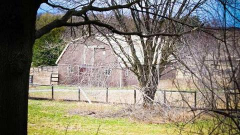 For what it's worth - IMG_6174.jpg