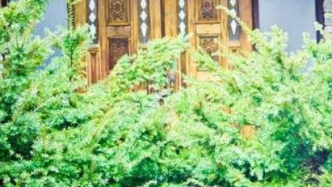 For what it's worth - IMG_6175.jpg