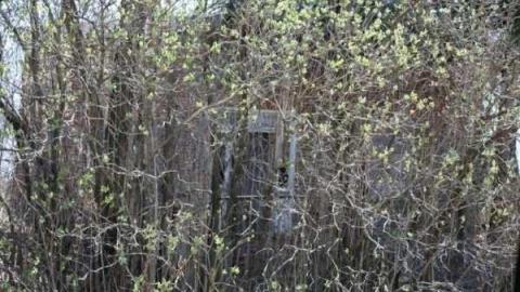 Gallery - Cowl-Homestead5.jpg