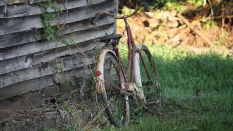 Cowl Homestead photo 3