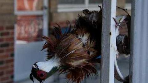 April 2013 visit - Waterdown-Motel15.jpg