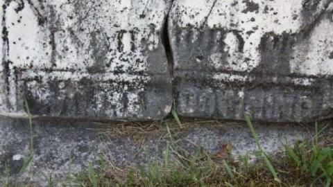 Gallery - Rehoboth-Cemetery7.jpg