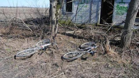 The Dare House photo 3